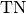 \text{TN}